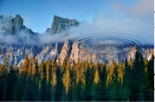 Eagle Using Shell Portal · Eagle Medicine – Rhythm of the Earth